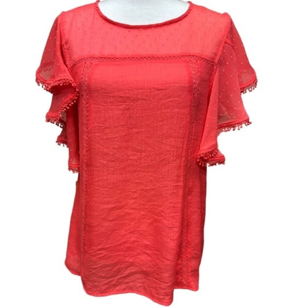 Umgee Vibrant Pink Sheer Embroidered Flutter Sleeves Top Size S (runs big)